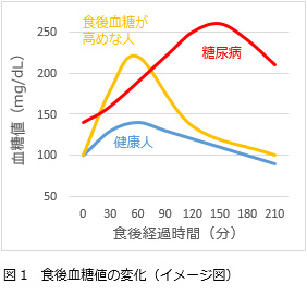 食後血糖のピーク値を抑える！グアーガム分解物(機能性表食品対応食品)