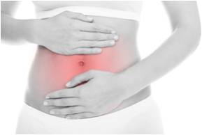 他にもある！グアーガム分解物の機能性