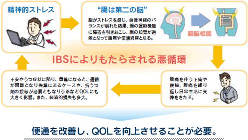 過敏性腸症候群（IBS）とは