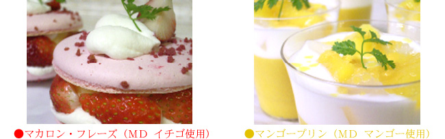 MD加工品の使用例