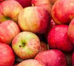 ゲル化状態のコントロールでまるで果実の飲みごたえ！