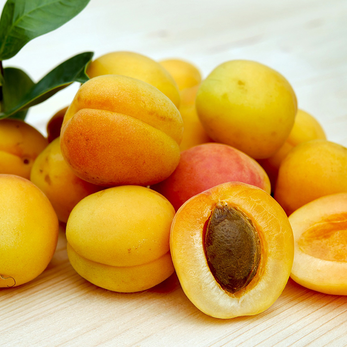 オイルの特徴を活かした心地よい感覚のヘアケア製品を作りたい！